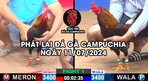 phát lại đá gà campuchia 11/07/2024